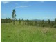 Wingham NSW 2429