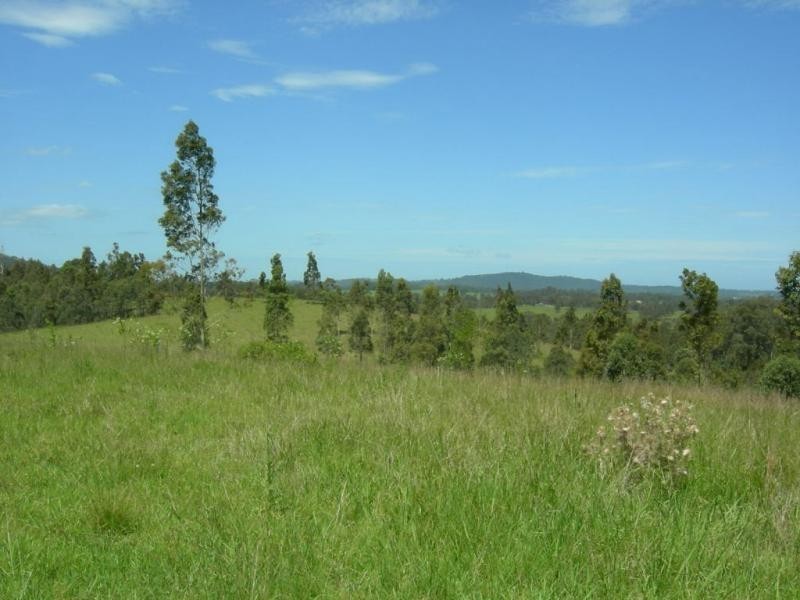 Wingham NSW 2429