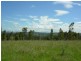 Wingham NSW 2429