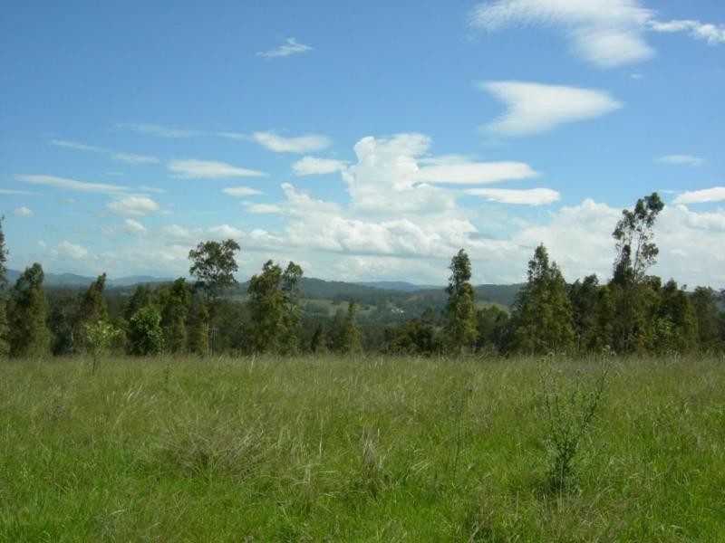 Wingham NSW 2429