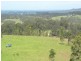 Wingham NSW 2429
