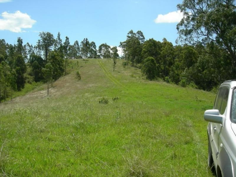 Wingham NSW 2429