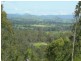 Wingham NSW 2429