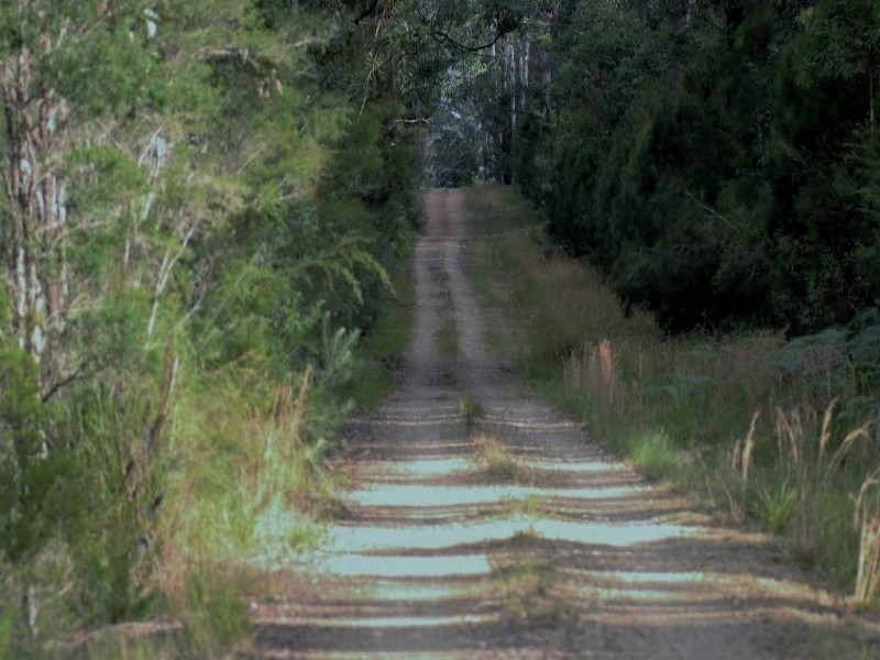 Nabiac NSW 2312
