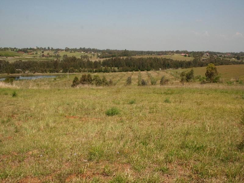 Orchard Hills NSW 2748