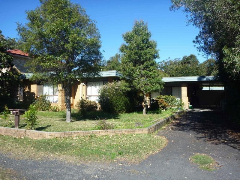 Shelly Beach NSW 2261