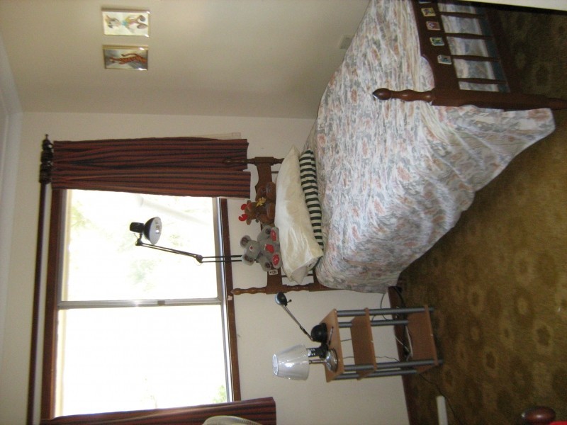 164 Skellatar Stock Route, Muswellbrook NSW 2333