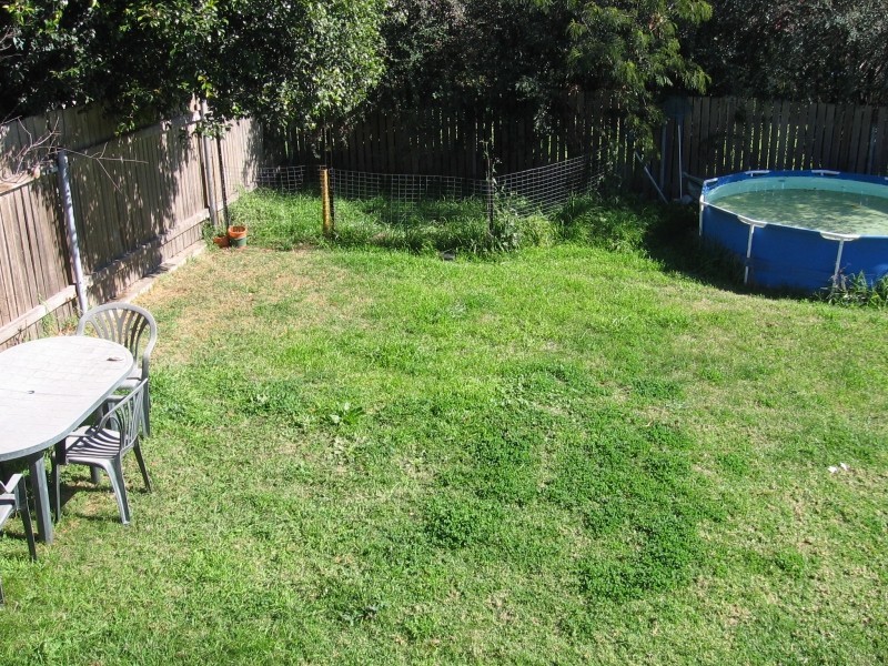 19 Adams Street, Muswellbrook NSW 2333