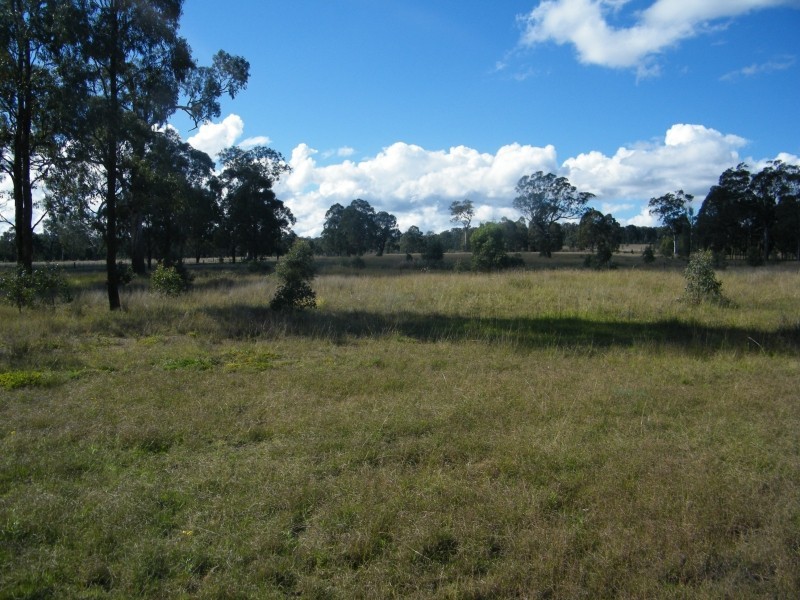 31 Pamger Dr, Muswellbrook NSW 2333