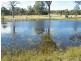 31 Pamger Dr, Muswellbrook NSW 2333