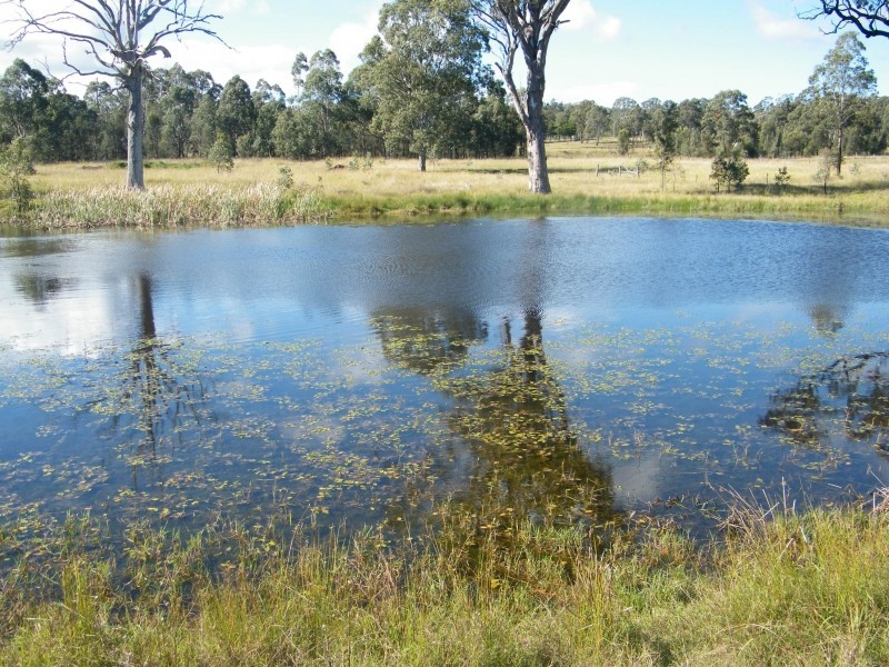 31 Pamger Dr, Muswellbrook NSW 2333