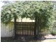 36 Shiraz St, Muswellbrook NSW 2333