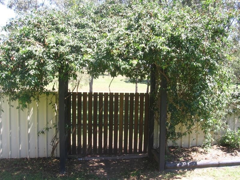 36 Shiraz St, Muswellbrook NSW 2333