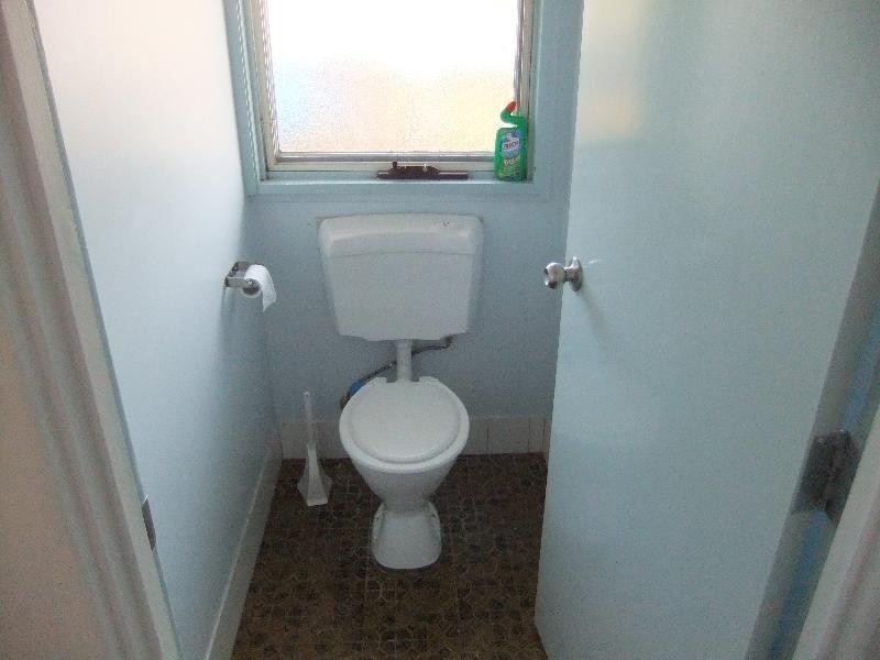 169 Wollombi Road, Muswellbrook NSW 2333