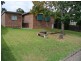 20 Cousins Street, Muswellbrook NSW 2333