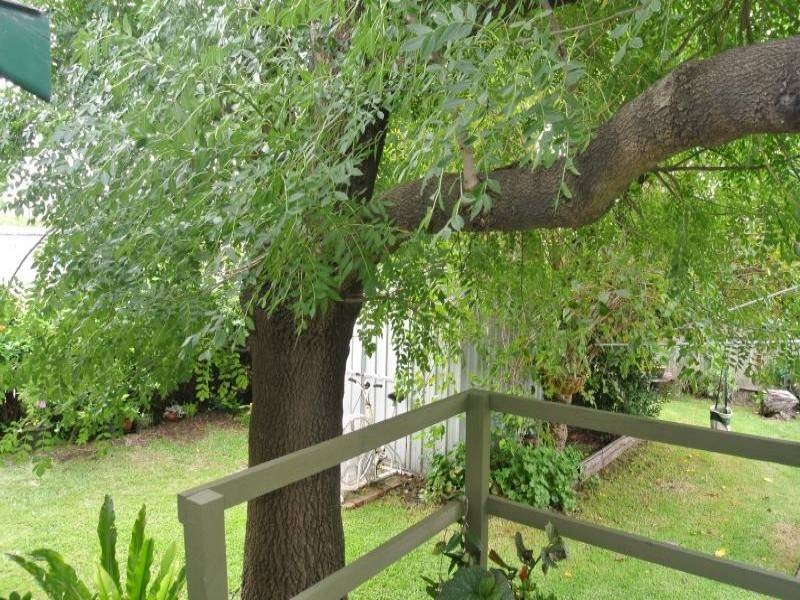 13 St James Crescent, Muswellbrook NSW 2333