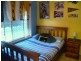 8 Tuart Close, Muswellbrook NSW 2333