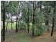 7 Cypress Place, Muswellbrook NSW 2333