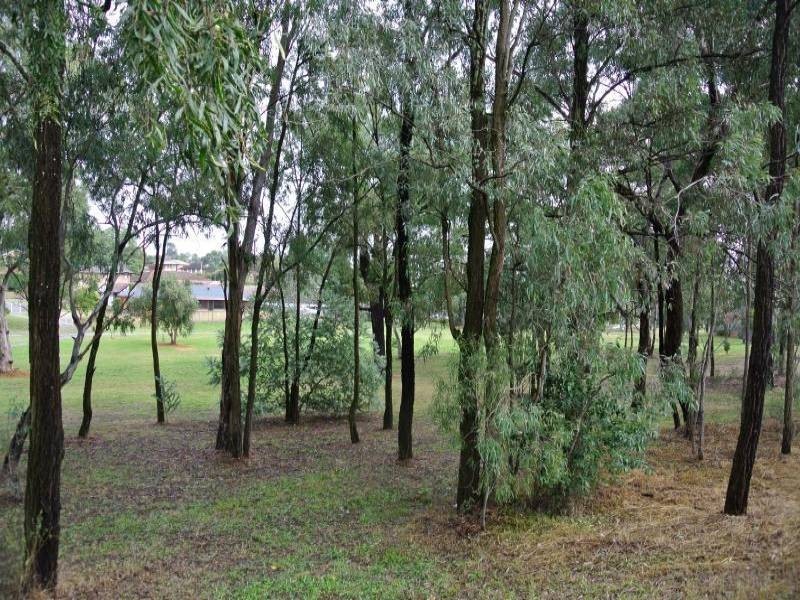 7 Cypress Place, Muswellbrook NSW 2333