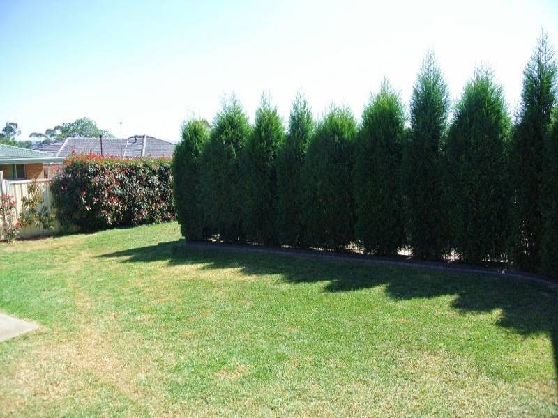 52 Humphries Street, Muswellbrook NSW 2333