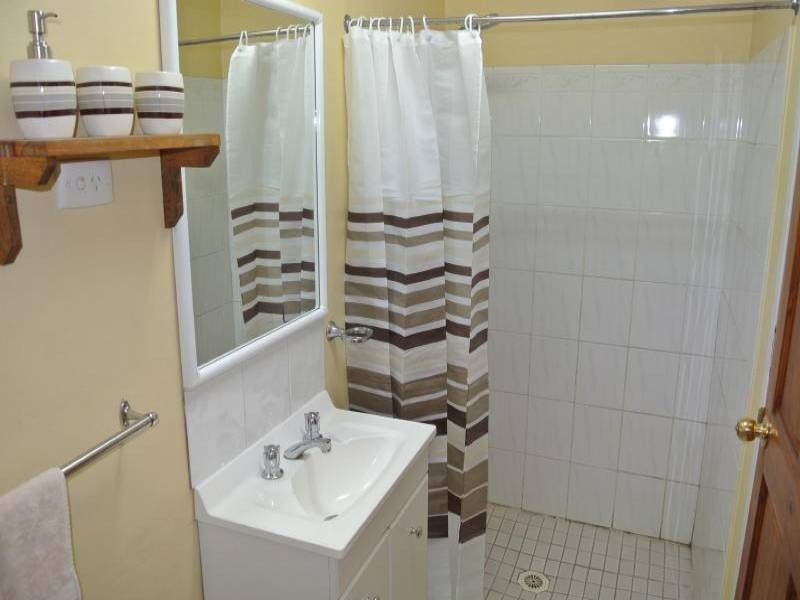 37 Carl St, Muswellbrook NSW 2333