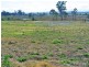 Denman NSW 2328