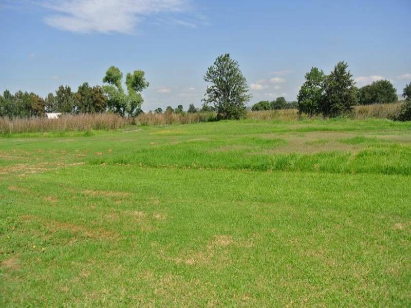 79 Aberdeen Street, Muswellbrook NSW 2333