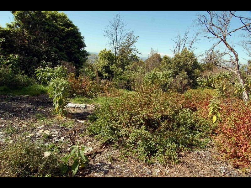 Kurrajong Heights NSW 2758