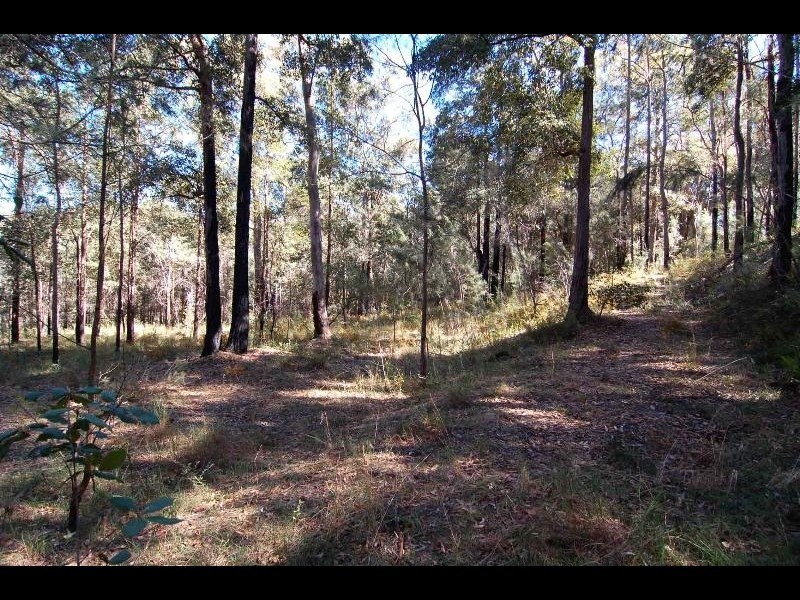 East Kurrajong NSW 2758