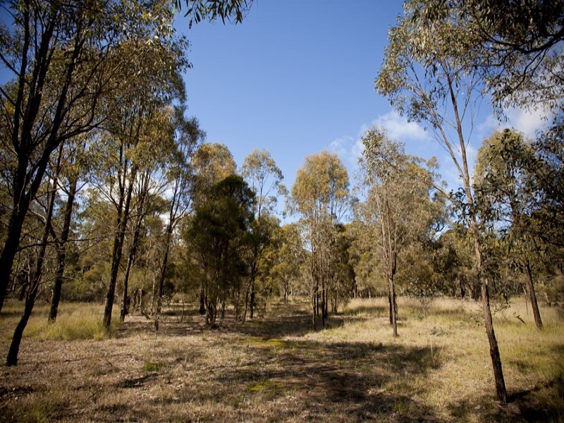 63 Level Crossing Road, Vineyard NSW 2765