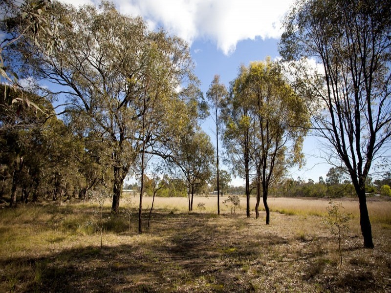 63 Level Crossing Road, Vineyard NSW 2765