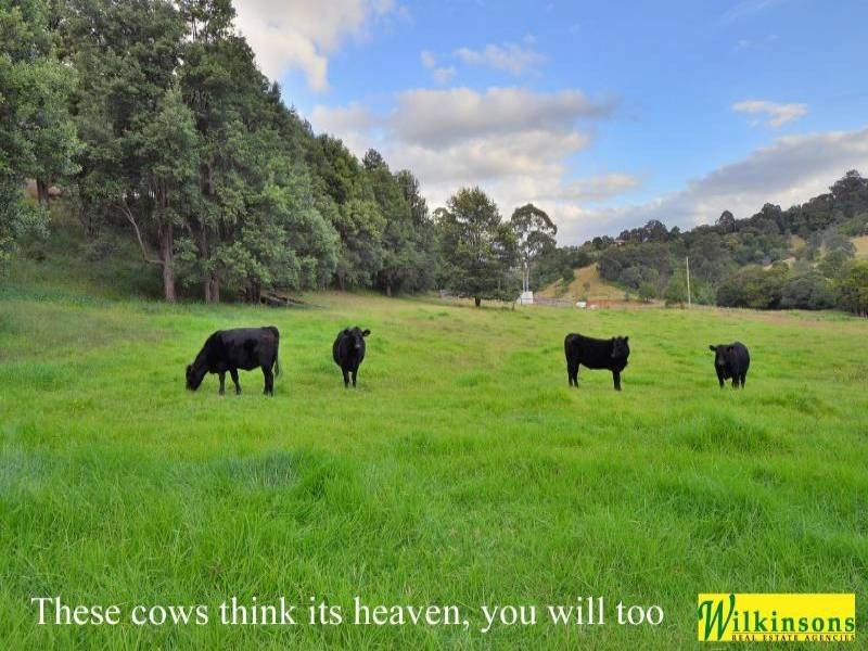 Kurrajong Hills NSW 2758