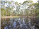 Blaxlands Ridge NSW 2758
