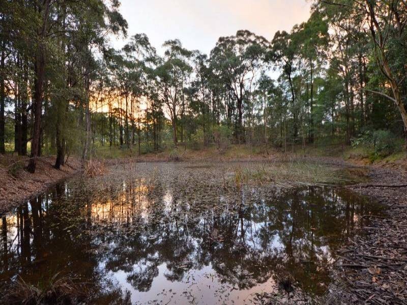 Blaxlands Ridge NSW 2758