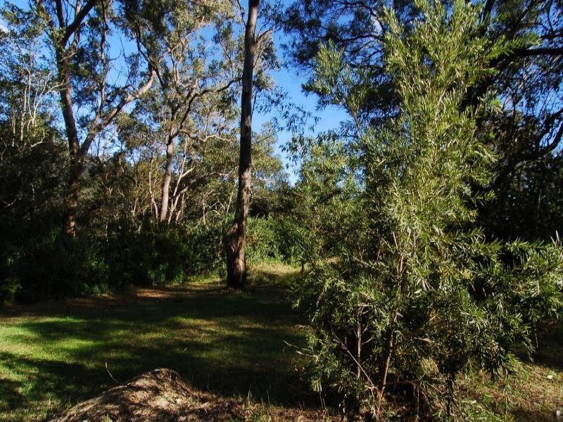 Lower Portland NSW 2756