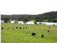 Lower Portland NSW 2756