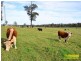 Wilberforce NSW 2756