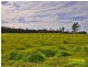 Wilberforce NSW 2756