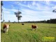 Wilberforce NSW 2756