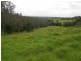 Kurrajong NSW 2758