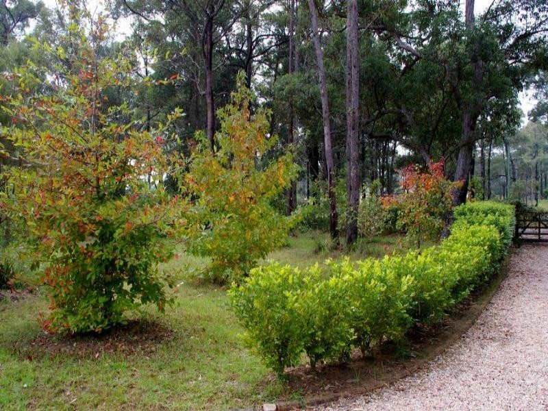 1 Turpentine Grove, Kurrajong NSW 2758