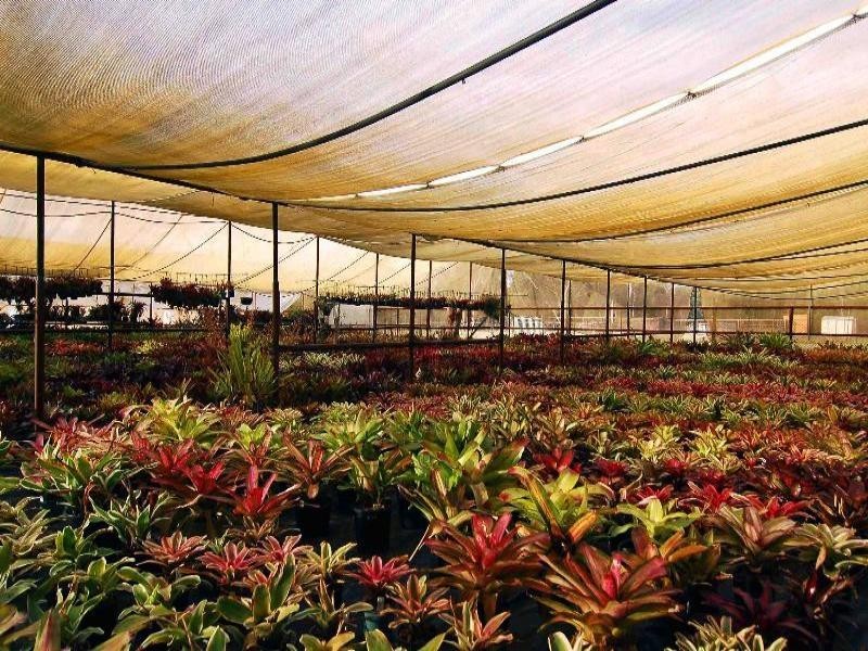 Londonderry NSW 2753