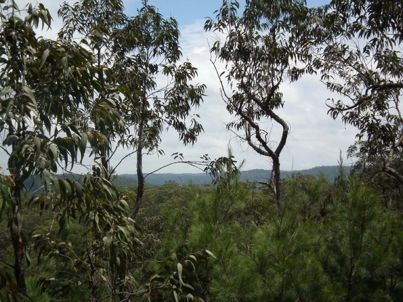 Lower Portland NSW 2756