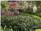 11 Lt Bowen Road,, Bowen Mountain NSW 2753