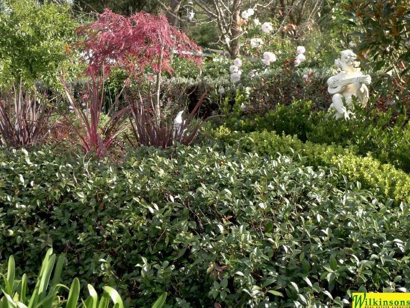 11 Lt Bowen Road,, Bowen Mountain NSW 2753