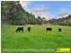 Kurrajong Hills NSW 2758