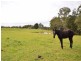 East Kurrajong NSW 2758
