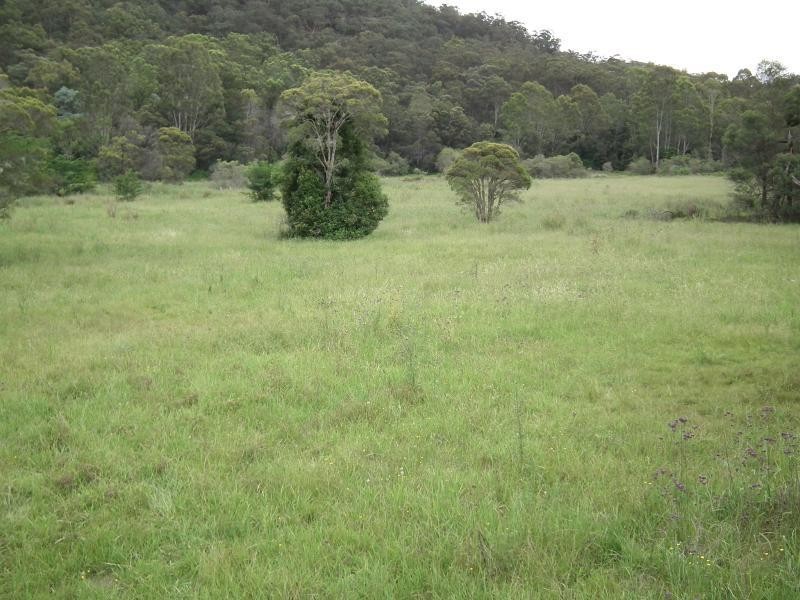 Lower Portland NSW 2756