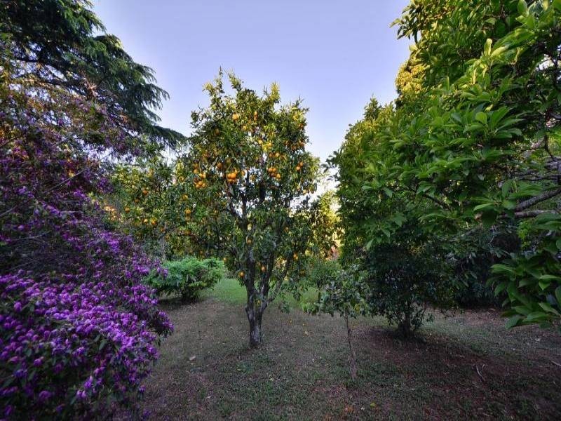 Kurrajong Heights NSW 2758