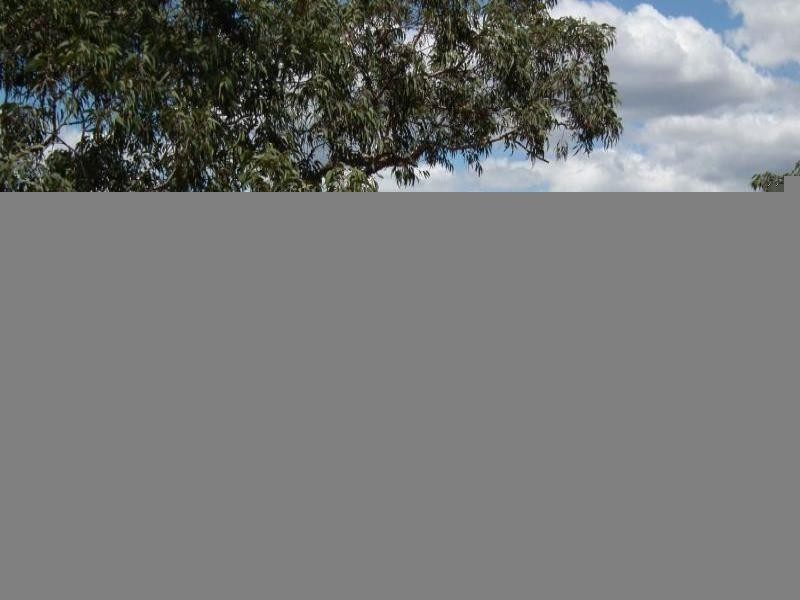 Lower Portland NSW 2756